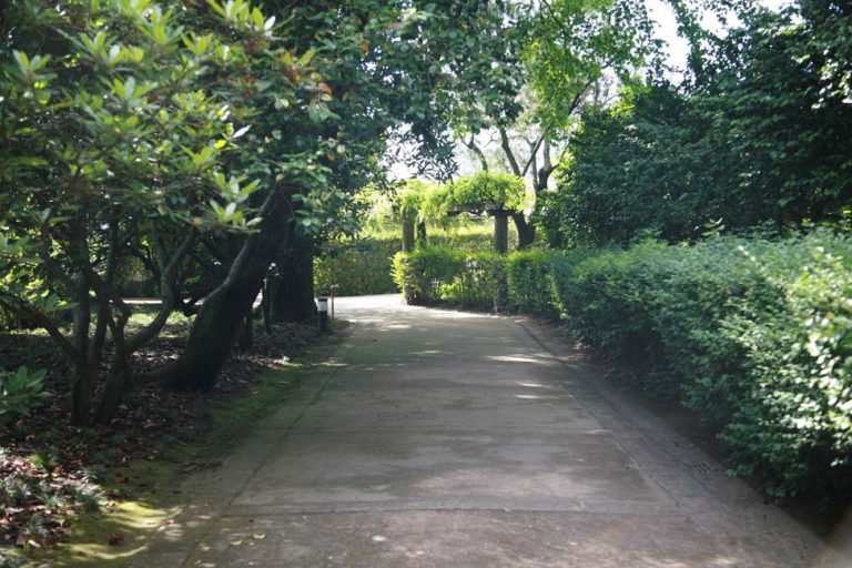 Vista Jardim_1