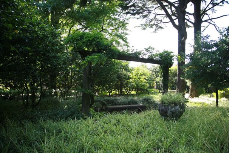 Vista Jardim_3